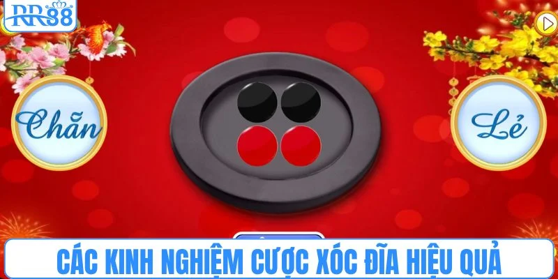 Các kinh nghiệm cược xóc đĩa hiệu quả