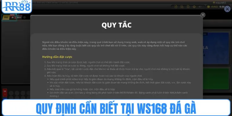 Quy định cần biết tại WS168 đá gà