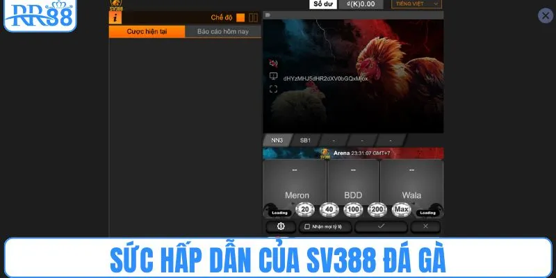 Sức hấp dẫn của SV388 đá gà